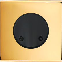  FAC LAITON DORE S SC AIMANT 