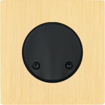  FAC "M" LAITON BROSSE S SC SAN 