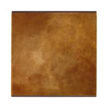  FAC LAITON AURA S O1 MAGNET 