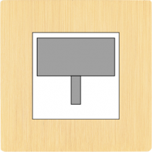  FAC "M" LAITON BROSSE S R2 M 