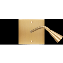  FAC LTC CHAMPAGNE S LISEUSE 20 