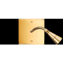  FAC LTC DORE S LISEUSE 20 