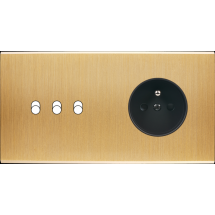  FAC LAITON BROSSE DH B3 PC 