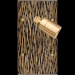  FAC LAITON FAUVE DV SPOT 
