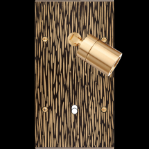  FAC LAITON FAUVE DV SPOT + B1 