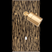  FAC LAITON FAUVE DV SPOT + B1 