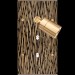  FAC LAIT FAUVE DV SPOT+B1 B1 