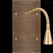  FAC LAITON COSLAN DV LIS 20 