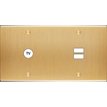  FAC LAITON LAIT-B DH C1 U1 VIS 