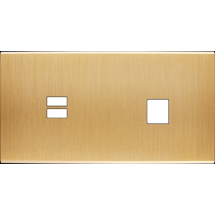  FAC LAITON BROSSE DH U1 M1 