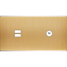  FAC LAITON BROSSE DH U1 C1 