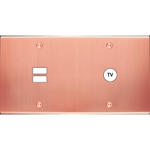  FAC LAITON CUIV-S DH U1 C1 VIS 