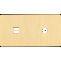  FAC "M" LAITON BROSSE DH U1 C1 