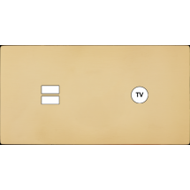  FAC "M" LAITON MIROIR DH U1 C1 