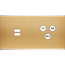  FAC LAITON BROSSE DH U1 C3 