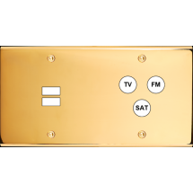  FAC LAITON DORE DH U1 C3 A VIS 