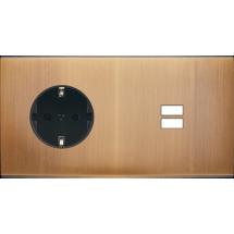  FAC LAITON BRONZ DH PCK U1 MAG 