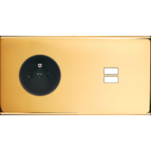  FAC LAITON DORE DH PC U1 