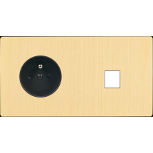  FAC "M" LAITON BROSSE DH PC M1 