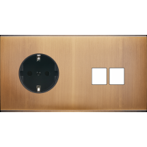  FAC LAITON BRONZE DH PCK M2 