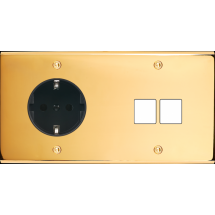  FAC LAITON OR DH PCK M2 A VIS 