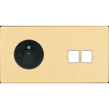  FAC "M" LAITON BROSSE DH PC M2 