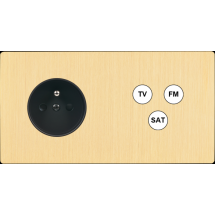  FAC "M" LAITON BROSSE DH PC C3 