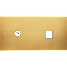  FAC LAITON SAT DH C1 M1 MAGNET 