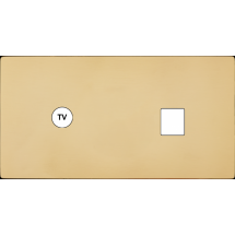  FAC "M" LAITON VERNI DH C1 M1 