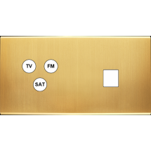  FAC LAITON SAT DH C3 M1 MAGNET 