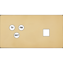  FAC "M" LAITON MIROIR DH C3 M1 