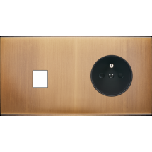  FAC LAITON BRONZ DH M1 PC 