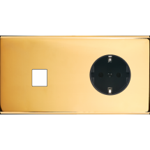  FAC LAITON DORE DH M1 PCK MAG 