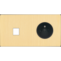  FAC "M" LAITON BROSSE DH M1 PC 