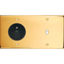  FAC LAITON DORE DH PC B1 A VIS 