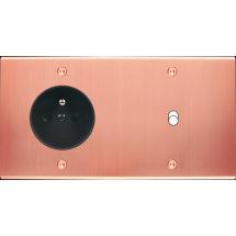  FAC LAITON CUIV-S DH PC B1 VIS 