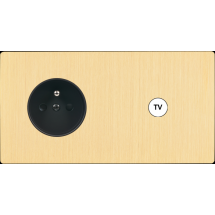  FAC "M" LAITON BROSSE DH PC C1 