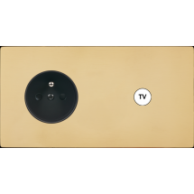  FAC "M" LAITON MIROIR DH PC C1 