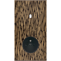  FAC LAITON FAUVE DV B1 PC 