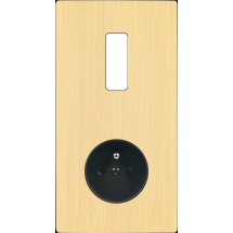  FAC "M" LAITON BROSSE DV B1 PC 