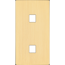  FAC "M" LAITON BROSSE DV M1  S 