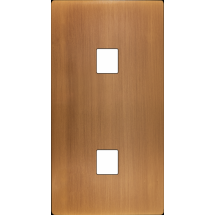  FAC "M" LAITON BRONZE DV M1 M1 