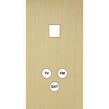  FAC LTE0 LAIT-S DV M1 C3 M 