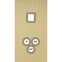  FAC LTE1 LAIT-S DV M1 C3 M 