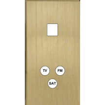  FAC LTE2 LAIT-S DV M1 C3 M 