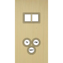  FAC LTE1 LAIT-S DV M2 C3 M 