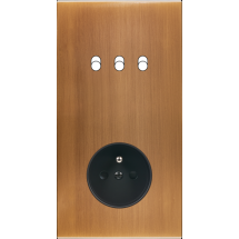  FAC LAIT BRONZE DV B3 PC 