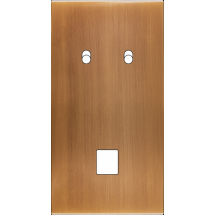  FAC LAIT BRONZE DV B2 M1 