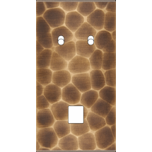  FAC LAIT ONDE DV B2 M1 MAGNET 