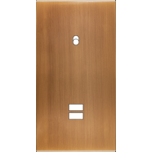  FAC LAITON BRONZ DV B1 U1 